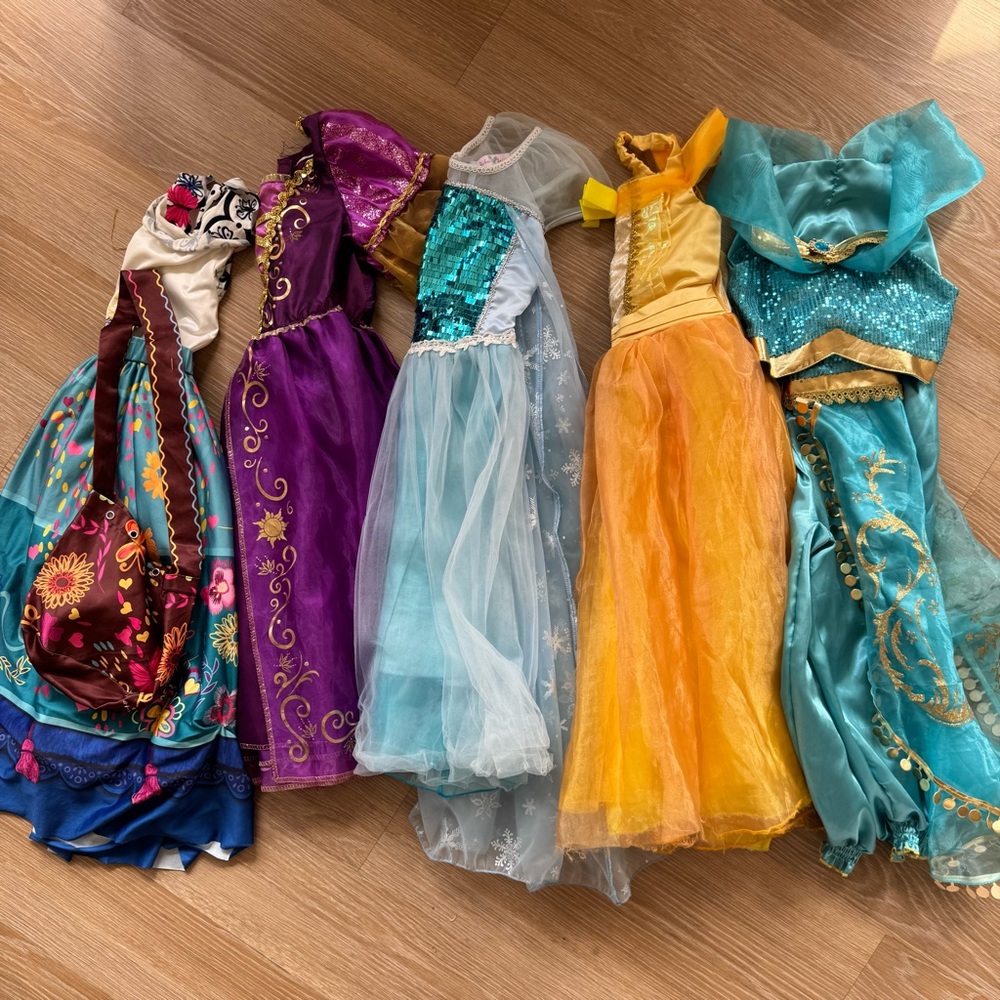 Bundle of Disney Princess Costume dresses Collection